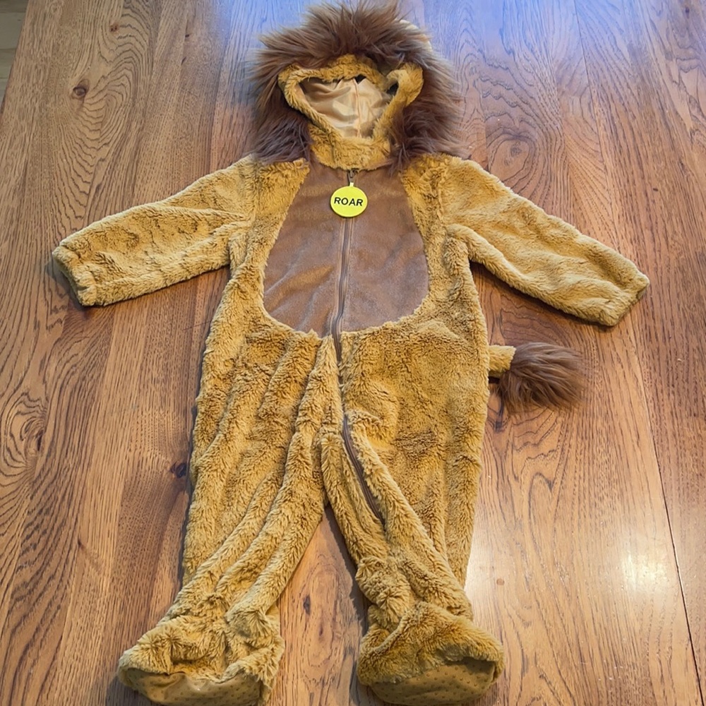Baby lion costume
